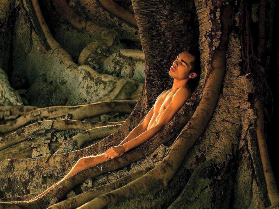 Un homme allongé les yeux clos, lové entre les racines d’un grand arbre